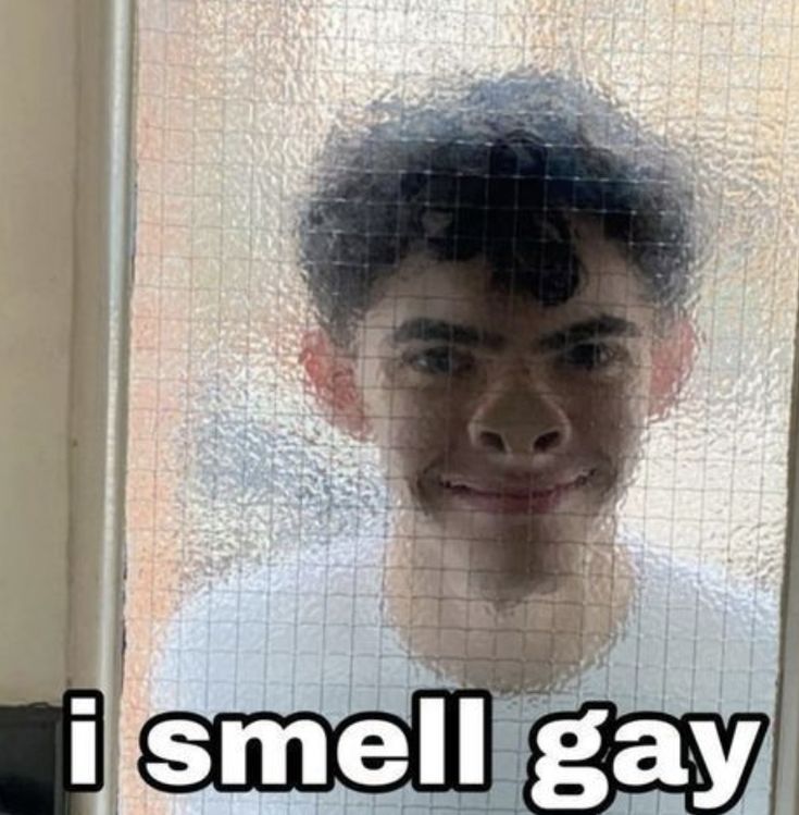 Meme Sẽ Gầy – Tổng Hợp Ảnh Chế Giảm Cân Cười Xỉu 😂 87 chế ảnh sẽ gầy thú vị nhất