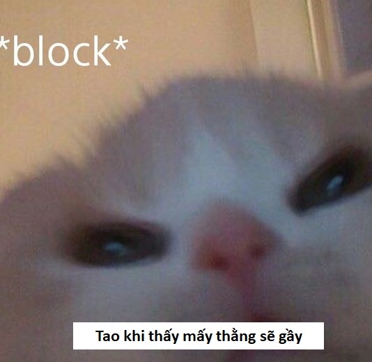 Meme Sẽ Gầy – Tổng Hợp Ảnh Chế Giảm Cân Cười Xỉu 😂 94 chế meme sẽ