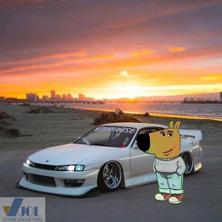 Chill Guy Meme – Ảnh Chế Chó Bình Thản Hot TikTok 🐕 51 Chill guy ngáo ngáo