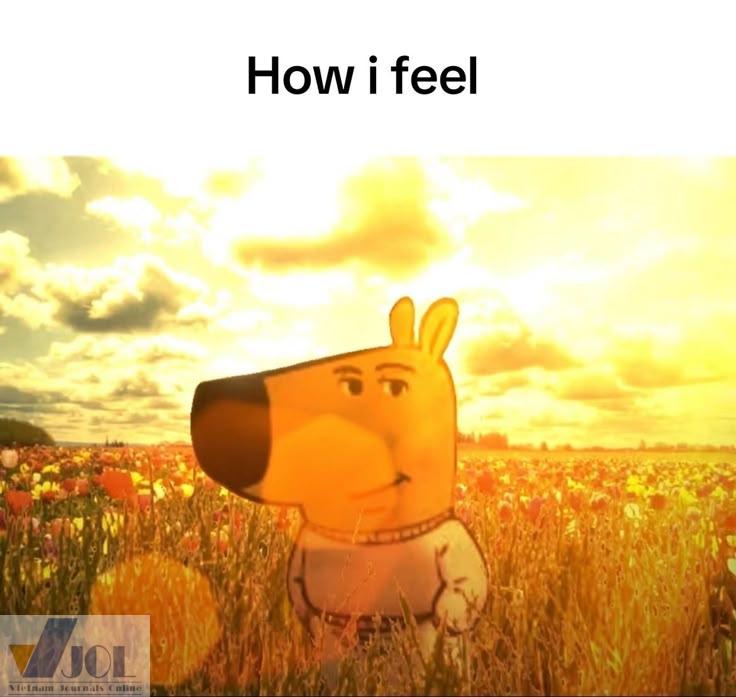 Chill Guy Meme – Ảnh Chế Chó Bình Thản Hot TikTok 🐕 62 Chill guy ngộ nghĩnh vui