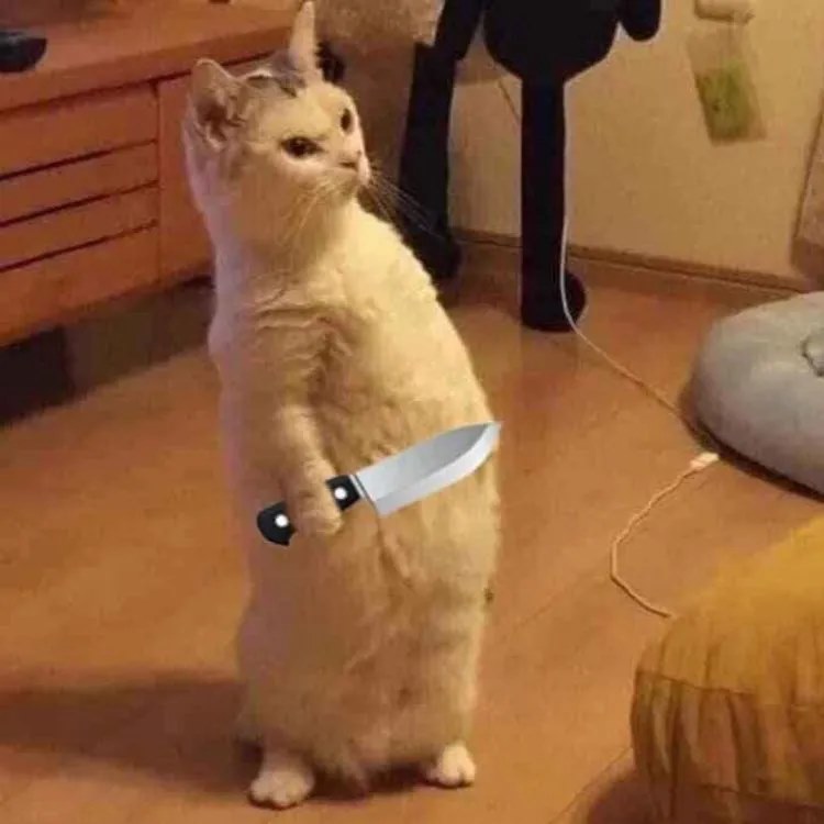 Meme Cầm Dao – Ảnh Chế Đe Dọa Hài Hước Troll Bạn Bè 🔪 132 Có lẽ nên mua dao gấp vì hay giận