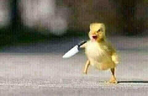 Meme Cầm Dao – Ảnh Chế Đe Dọa Hài Hước Troll Bạn Bè 🔪 160 Em đâu có giận, chỉ là dao đang run