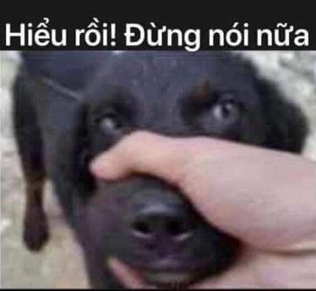 Meme Nín – Ảnh Chế Nhịn Cười Trong Tình Huống Khó Xử 🤐 132 Hiểu rồi! Đừng nói nữa