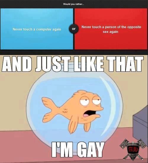 Meme Sẽ Gầy – Tổng Hợp Ảnh Chế Giảm Cân Cười Xỉu 😂 116 Meme chế ảnh sẽ gầy thú vị nhất trên Internet
