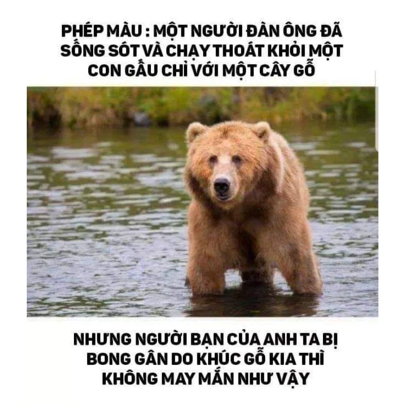 Dark Meme – Kho Ảnh Chế Hài Đen Châm Biếm Sâu Cay 🖤 16 meme chế cực dark
