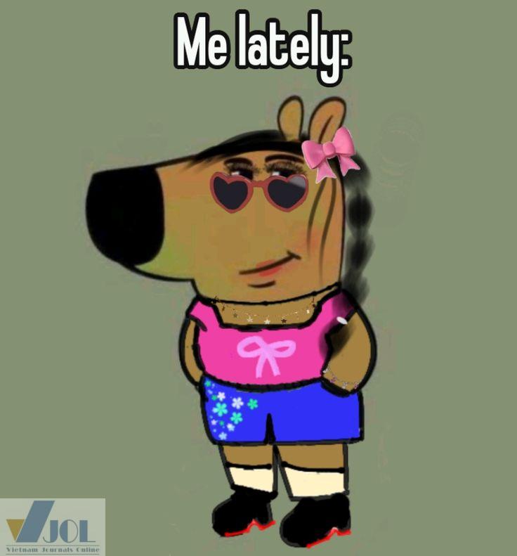 Chill Guy Meme – Ảnh Chế Chó Bình Thản Hot TikTok 🐕 110 Meme cute guy