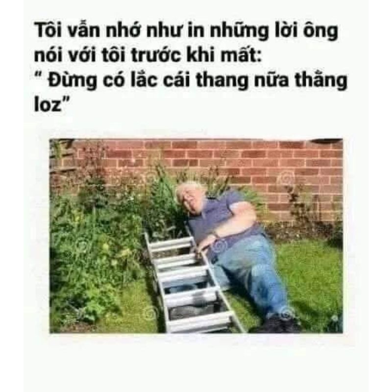 Dark Meme – Kho Ảnh Chế Hài Đen Châm Biếm Sâu Cay 🖤 25 meme dak chế