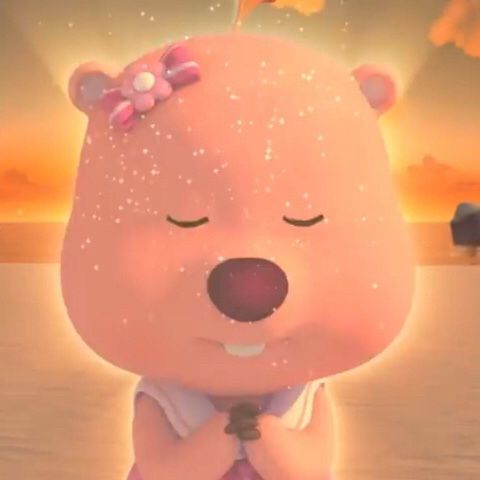 Loopy Meme – Ảnh Chế Hải Ly Hồng Cute Đang Hot 🦫 111 Meme Loopy cười xỉu