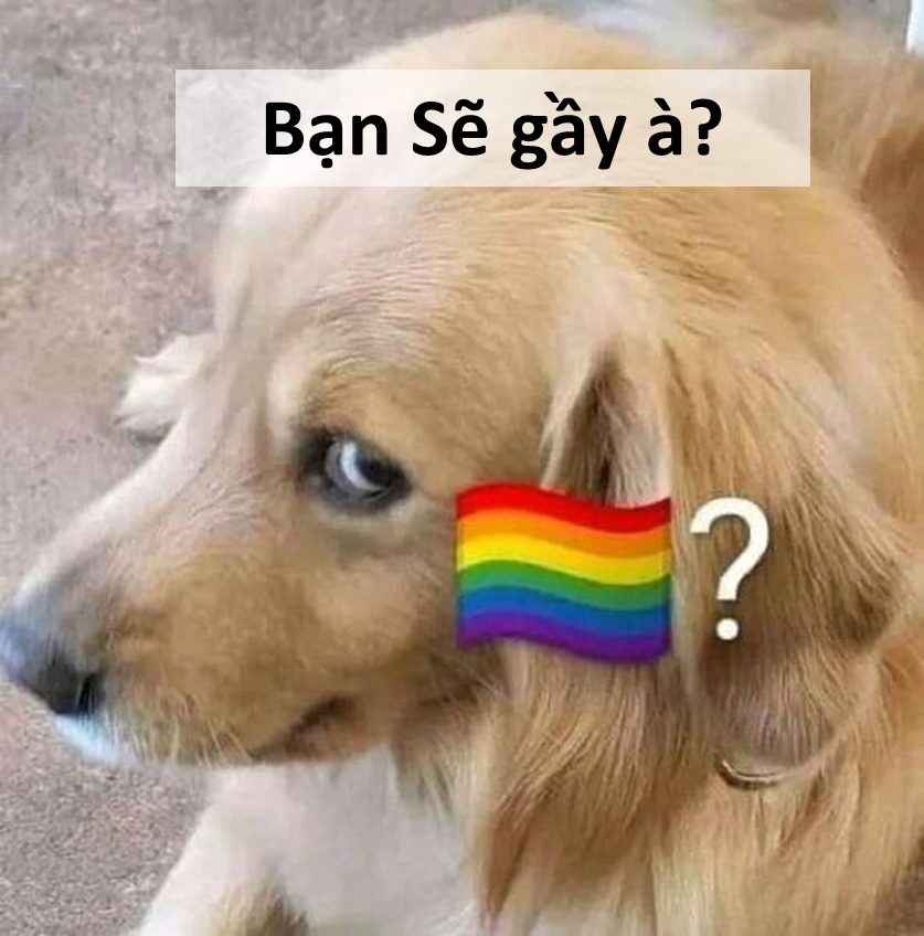 Meme Sẽ Gầy – Tổng Hợp Ảnh Chế Giảm Cân Cười Xỉu 😂 11 Meme sẽ gầy vui