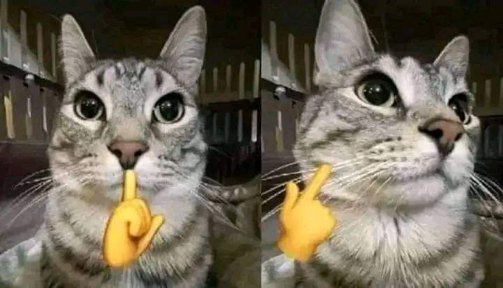Mewing Meme – Tổng Hợp Ảnh Chế Tập Hàm Trend 2026 😏 59 Mewing meme cảm xúc thật
