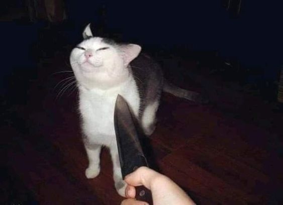 Meme Cầm Dao – Ảnh Chế Đe Dọa Hài Hước Troll Bạn Bè 🔪 50 Nói dối lần nữa là đừng trách con dao này