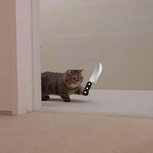 Meme Cầm Dao – Ảnh Chế Đe Dọa Hài Hước Troll Bạn Bè 🔪 63 Tui đâu có nóng, chỉ đang cầm dao cho đẹp